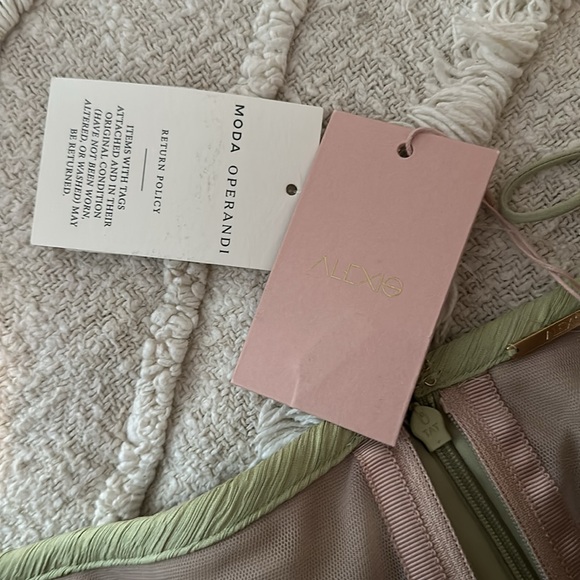 NWT ALEXIS ROMANI SAGE DRESS LARGE SOLD OUT - Picture 5 of 7